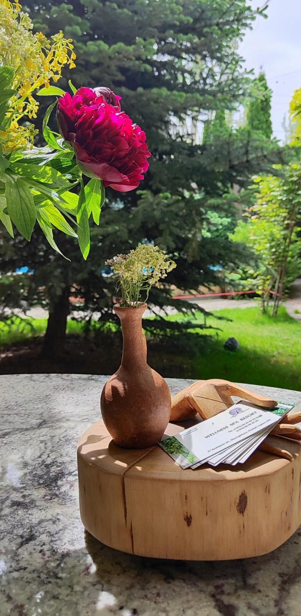 Aya Maria Wellness Spa Resort Dzoraghpʼyur Exteriör bild