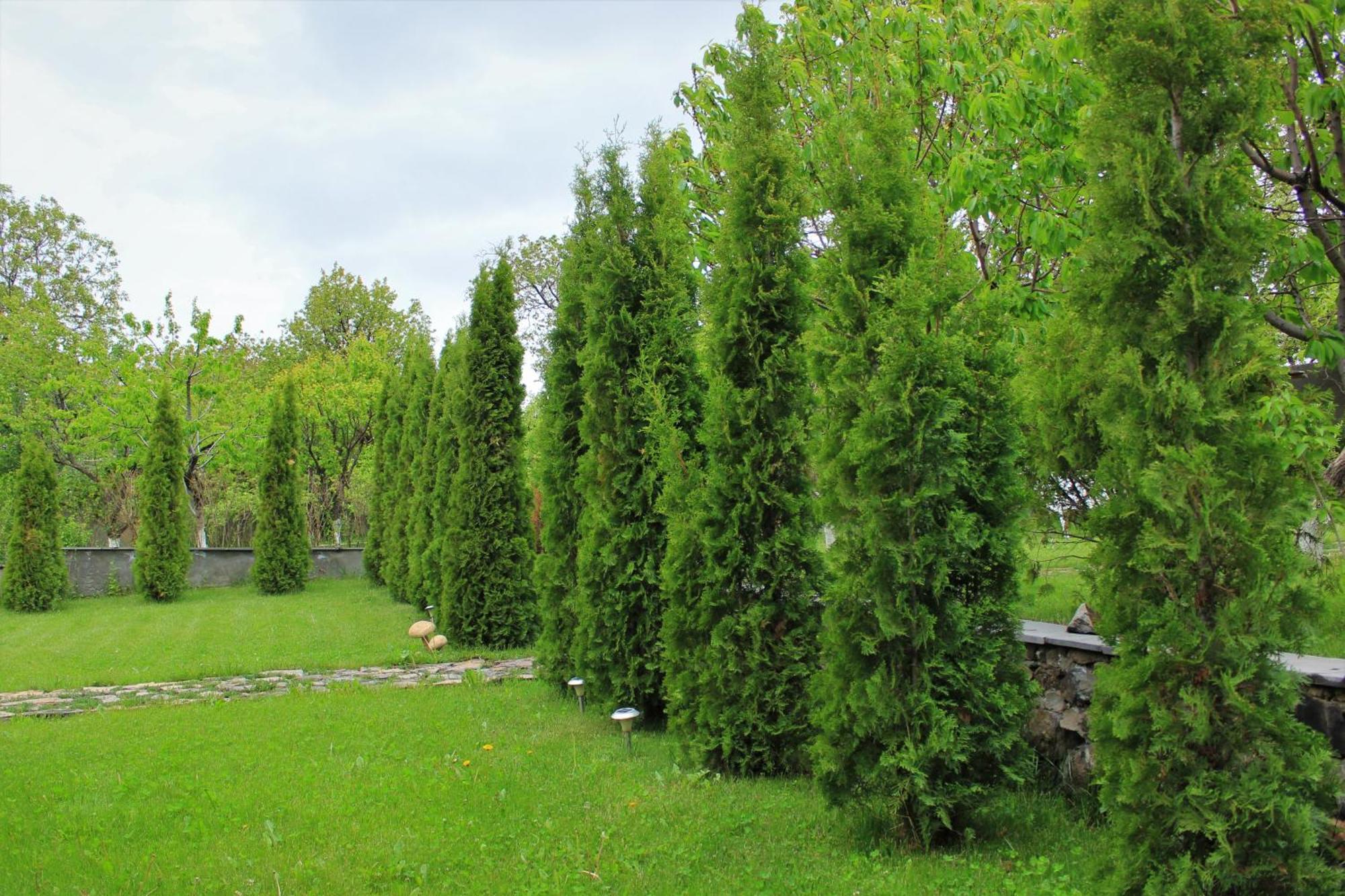 Aya Maria Wellness Spa Resort Dzoraghpʼyur Exteriör bild